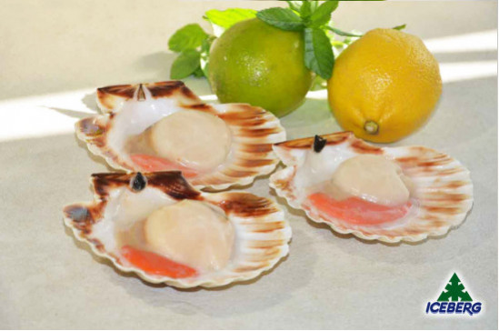 CAPPESANTE ATLANT. M/G G.B.9/11 MD 1X5KG   CG