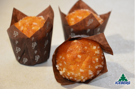 MINI TULIPANO ALBICOCCA            42X26GR SG