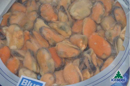 COZZA CILENA S/G IQF               20X450GRSG