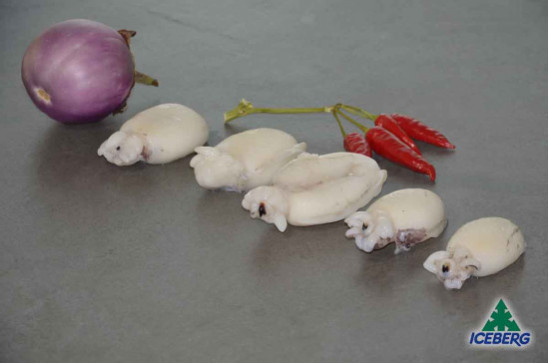 SEPPIE CHOCO 30/50 P.P.            1X5KG   CG