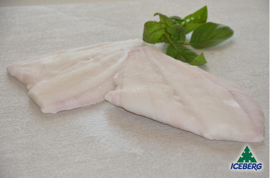 FILETTO PLATESSA DEKKER N.2L P.P.  1X4KG   CG