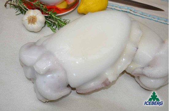 SEPPIE PULITE 1000/2000 P.P.       1X8KG   CG