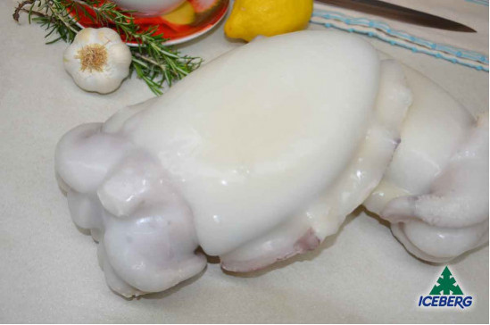 SEPPIE PULITE 1000/2000 P.P.       1X8KG   CG