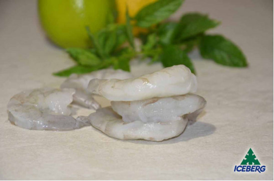 CODE MAZZ.LE TROP.EC.SG.SV.N4(41/50)10X1KG CG