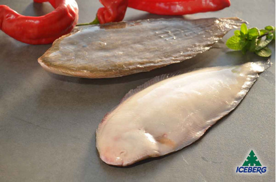 SOGLIOLA DEKKER N.3S P.P.          1X4KG   CG