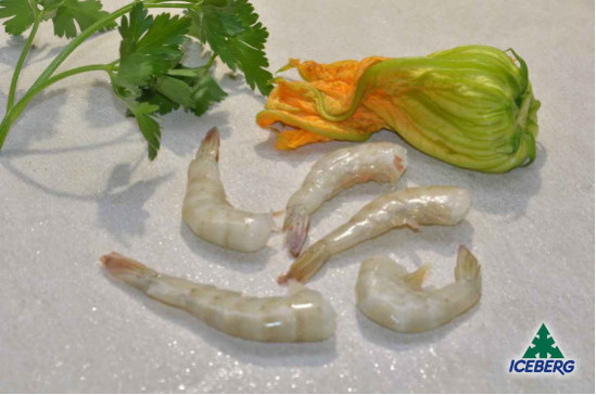 CODE MAZZ.LE TROP.EC. P.P. 41/50 S.2X2KG  +CG