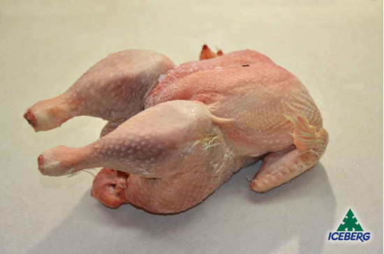 GALLINA BUSTO 1X2PZ +CG