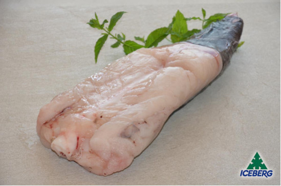 CODE RANA PESC.OCEAN.2000/UP BENGU.1X12KG  CG