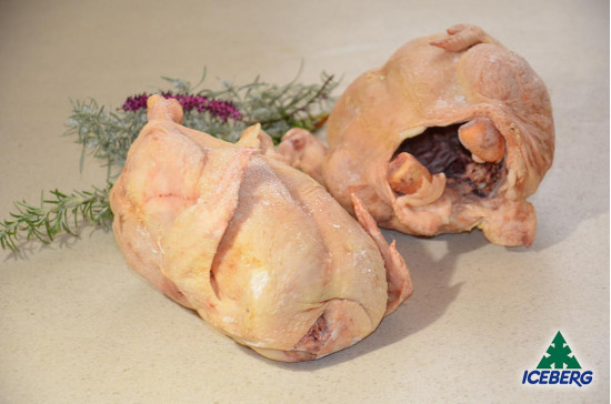 POLLO BUSTO 1400 GR M. 1X8PZ CG