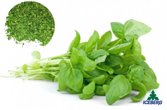 BASILICO TRITATO                   8X250GR SG