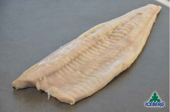 FILETTO MERLUZZO CARBONARO 500/1000 1X7,7KGCG