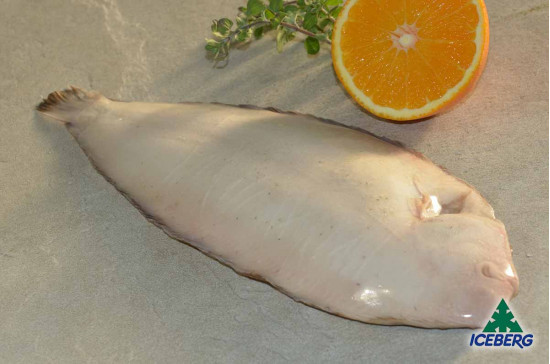 SOGLIOLA DEKKER 300/350 P.P.       1X4KG   CG