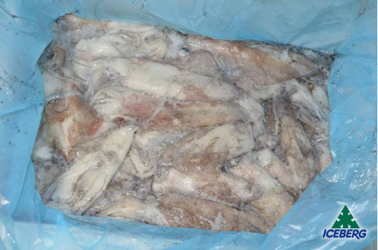 CALAMARO 100/300                   1X5KG   CG