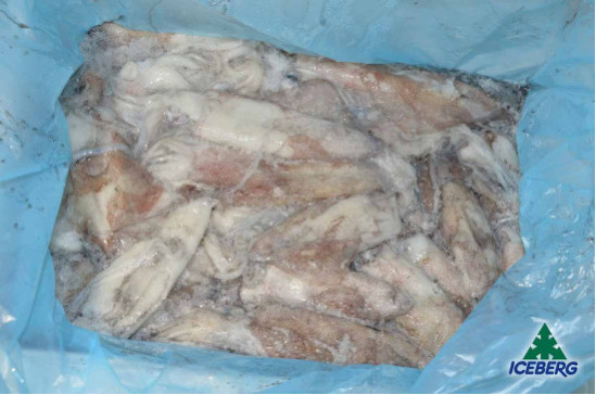 CALAMARO 100/300                   1X5KG   CG