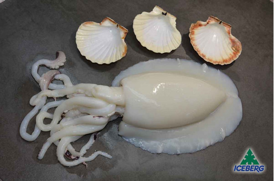 SEPPIE INDOPACIFICHE U/1 INDIA IQF 1X6KG   CG