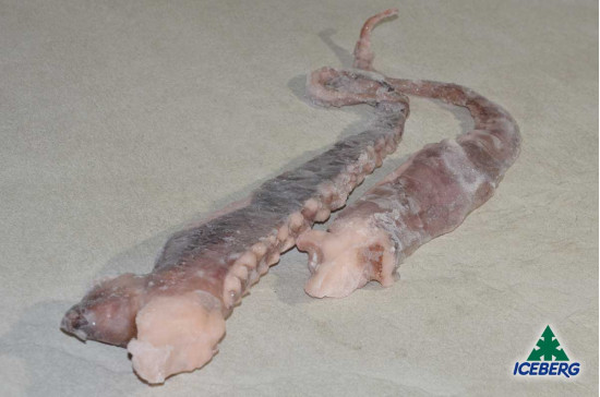 TENTACOLI TOT.GIG.PAC.CRUDI 1/2KG IQF1X5KG CG