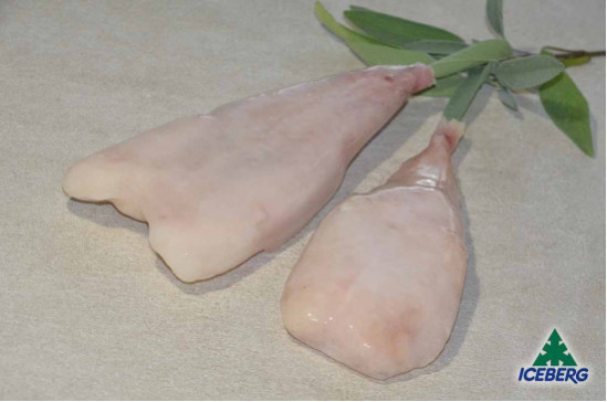 CODE RANA PESC.DEL PACIF.S/P200/30010X800GRCG