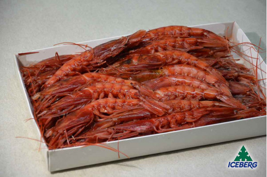 GAMBERI ROSSI 31/40 P.P. FRIP.     12X800GRCG