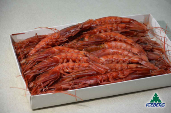 GAMBERI ROSSI 31/40 P.P. FRIP.     12X800GRCG