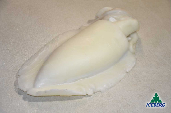 SEPPIE OCEANICHE 1/2 INDIA IQF 1X6KG CG