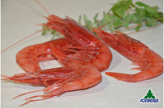 GAMBERI ROSSI SICILIA IV PREMIUM   2X1KG  +CG