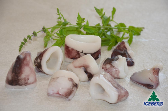 CALAMARO INDOP.PULITO TAGL.C/P 10/206X800GRCG