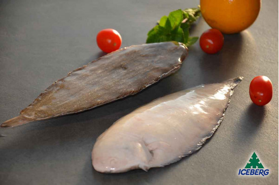 SOGLIOLA DEKKER N.5 P.P.           1X4KG   CG