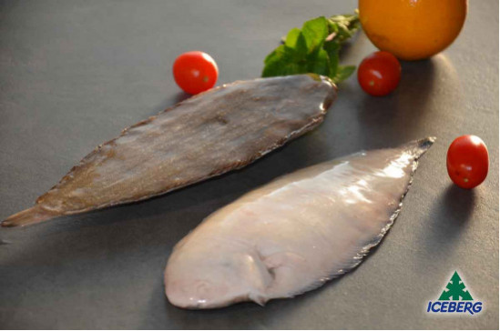 SOGLIOLA DEKKER N.5 P.P.           1X4KG   CG