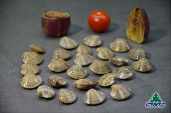 VONGOLE C/G IQF                    5X1KG   CG