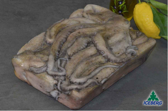 POLPO T6 0,8/1,2KG P.V.            2X4KG   CG