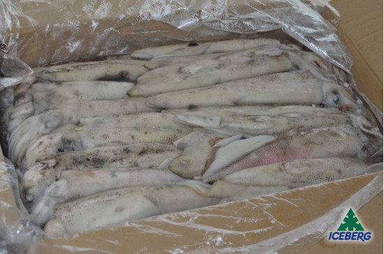 CALAMARO PATAGONICO C3 P.V. M. 1X10KG CG