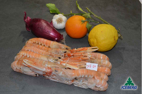 SCAMPI SCOZIA 17/20 MAC DUFF 6X750GR CG