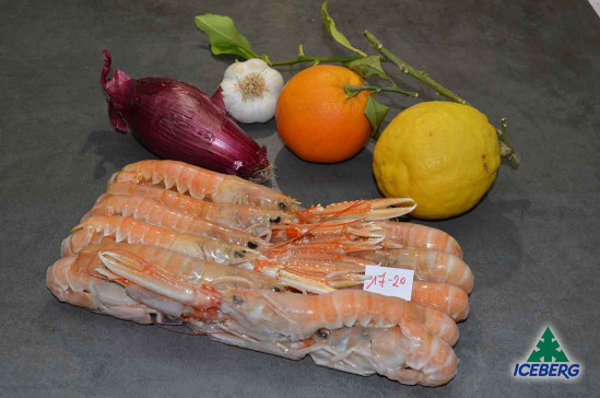 SCAMPI SCOZIA 17/20 MAC DUFF 6X750GR CG
