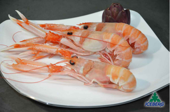 SCAMPI IRLANDA 11/15 PORCUP. P.N. 3X3KG CG