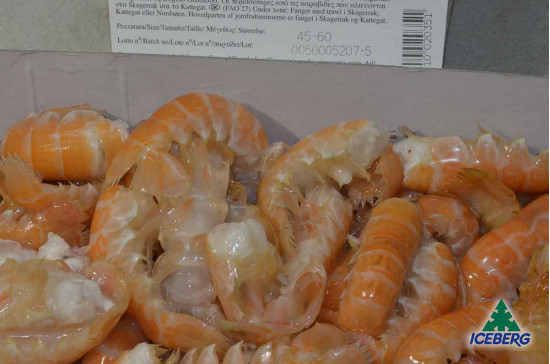 CODE SCAMPI C/G LAESO 45/60 2X800GR+CG
