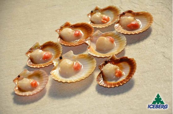 CANESTRELLI M/G 10X750GRCG