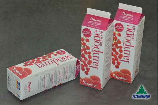 POLPA LAMPONE 6X1KG SG