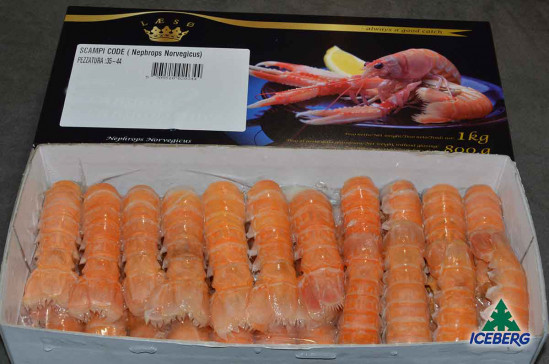 CODE SCAMPI C/G LAESO 35/44 6X800GR CG