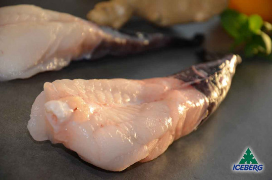 CODE RANA PESC.OCEAN.100/250 BENGU.1X6KG CG