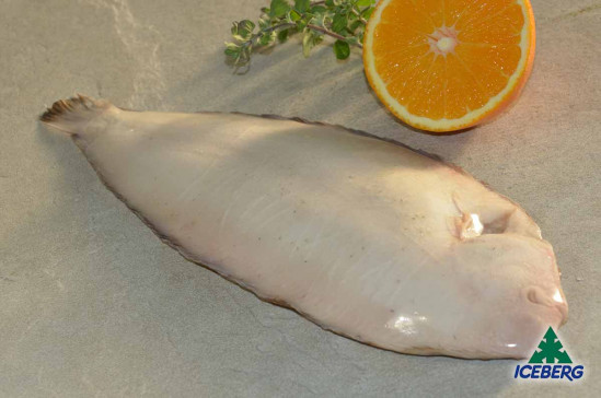 SOGLIOLA DEKKER 300/350 P.P. 1X4KG CG