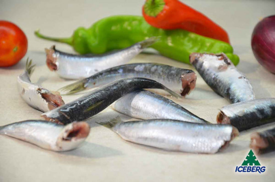 SARDINA SENZA TESTA IQF CROAZIA 1X9,7KG CG