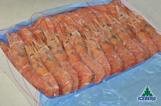 GAMBERI ARGENTINA 20/30 OLIVOS B. 6X2KG CG
