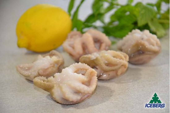 POLPO OCEANICO 40/60 IQF 6X1KG CG