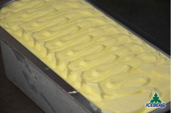 GELATO VANIGLIA 1X1PZ CG