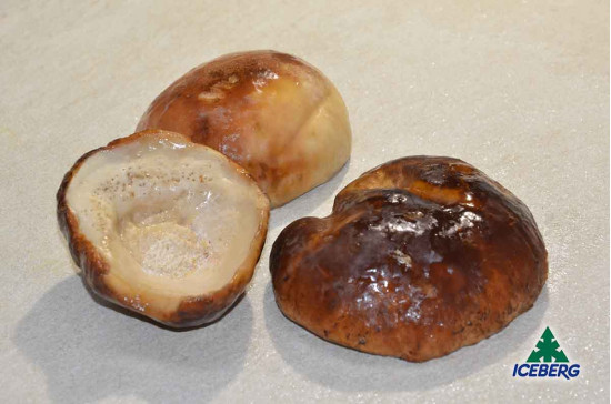 FUNGHI PORCINI TESTE A. FOOD 5X1KG CG