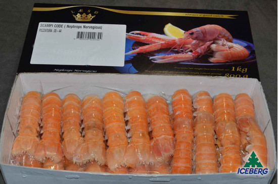 CODE SCAMPI C/G LAESO 35/44 6X800GR CG