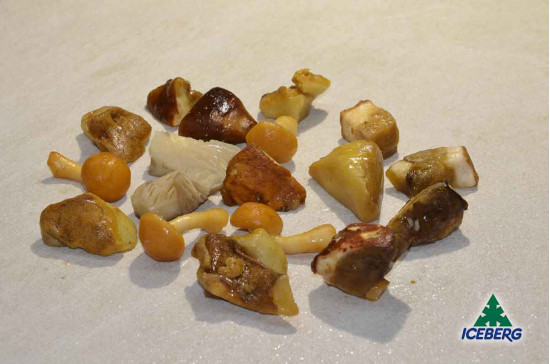 FUNGHI MISTI BOSCOBUONO 6X1KG SG