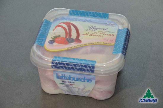 YOGURT VAR. FRUTTI DI BOSCO 6X500GR SG