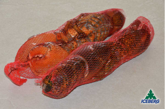 ASTICE AMERIC.CRUDO RETE 500/600 1X4,54KGCG