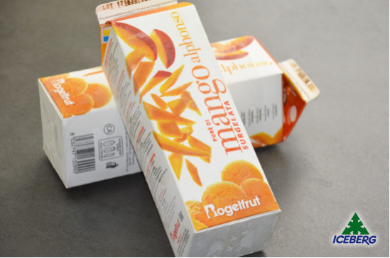 POLPA MANGO                        6X1KG   SG